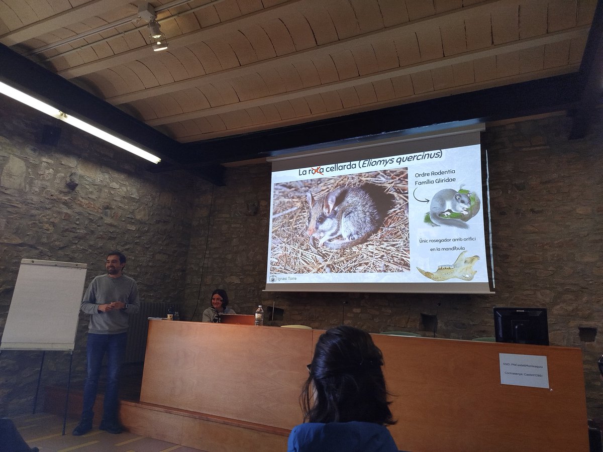 Projecte Liró tweet media