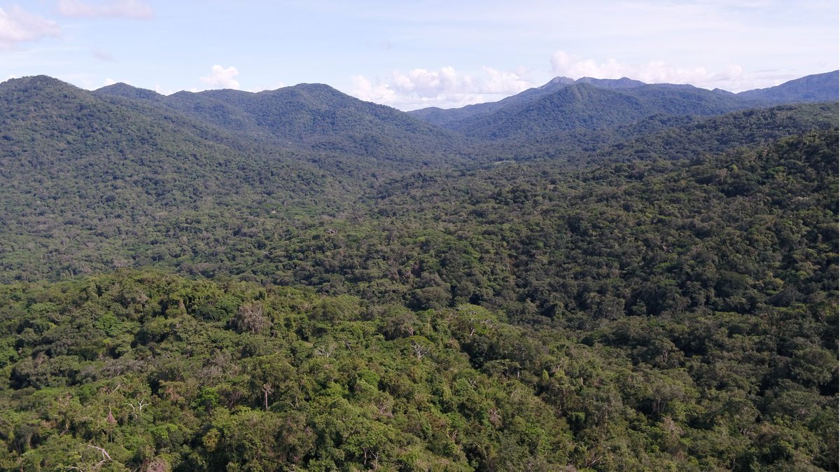 Jesus Aguirre (@jeaggu) on Twitter photo Job in Ecological Remote Sensing of tropical forests at BioEO lab jesusaguirre-spatialecology.com
<a href="/ecioxford/">ECI, Univ of Oxford</a> <a href="/oxfordgeography/">SoGE, University of Oxford</a> working with me,
<a href="/ymalhi/">Yadvinder Malhi</a> <a href="/felipemartello/">Felipe Martello</a> Laura M. Suz <a href="/kewgardens/">KewGardens</a>
and many more across the tropics -> Apply! shorturl.at/uM4F0 Job in Ecological Remote Sensing of tropical forests at BioEO lab jesusaguirre-spatialecology.com
<a href="/ecioxford/">ECI, Univ of Oxford</a> <a href="/oxfordgeography/">SoGE, University of Oxford</a> working with me,
<a href="/ymalhi/">Yadvinder Malhi</a> <a href="/felipemartello/">Felipe Martello</a> Laura M. Suz <a href="/kewgardens/">KewGardens</a>
and many more across the tropics -> Apply! shorturl.at/uM4F0