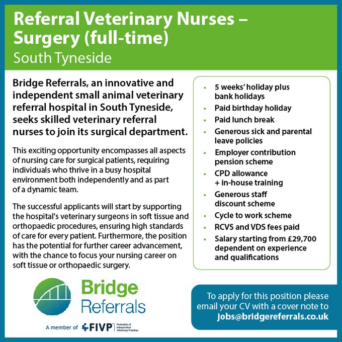 IVPCareers's tweet photo. An innovative and independent small animal veterinary referral hospital in South Tyneside is looking for skilled veterinary referral nurses to join its surgical  department.   See the job description: https://t.co/8ZNByEgwab……………… #independentpractice #vetnursejobs https://t.co/fKDGlXfymL