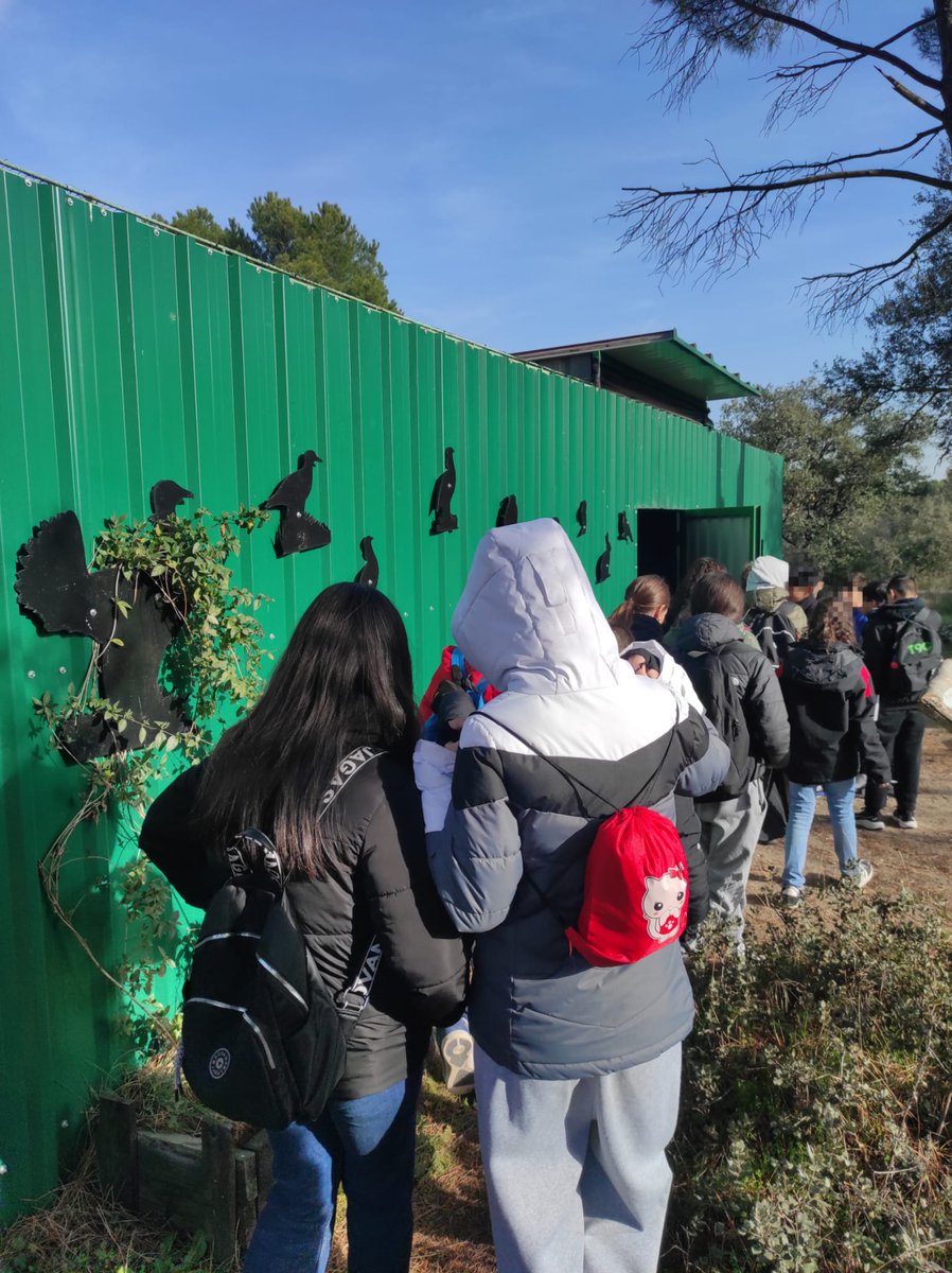 ies.altair tweet media