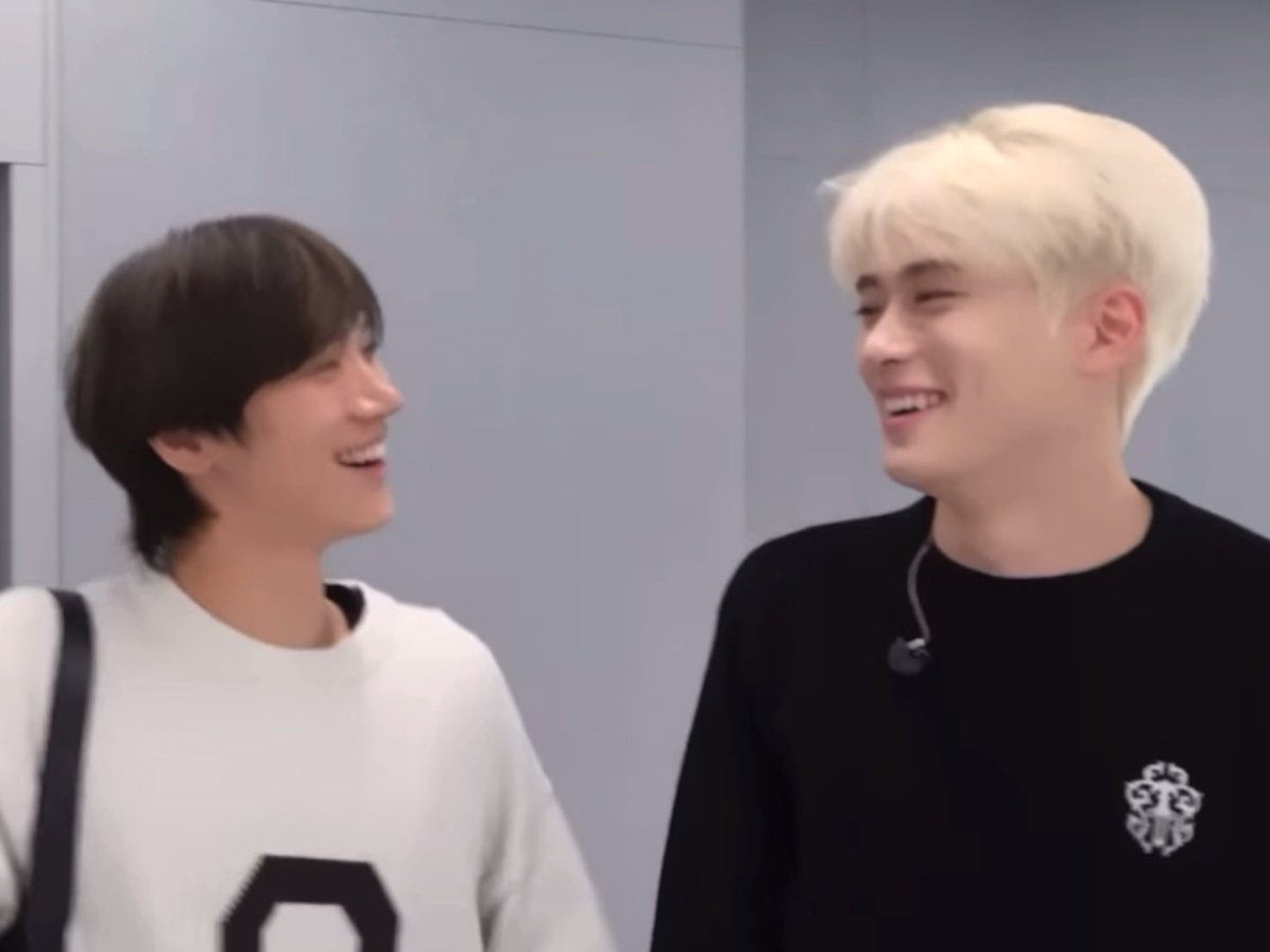 🐈‍⬛😸.                                         🐈😸