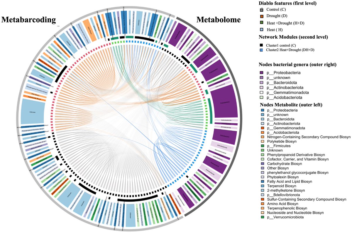 MicGEO NEWS. We wish you all a  Great XMas.

A new study is out! #HoloOmics in #plants #mutiplestressors.
Bianca Senizza, Luigi Lucini, Simon Lewin, Sonja Wende, Fabrizio Arantini
<a href="/zalf_leibniz/">ZALF</a>  <a href="/Unicatt/">Università Cattolica</a> <a href="/LaStatale/">Università degli Studi di Milano</a> 
#holobiont #arabidopsis
frontiersin.org/journals/plant…
