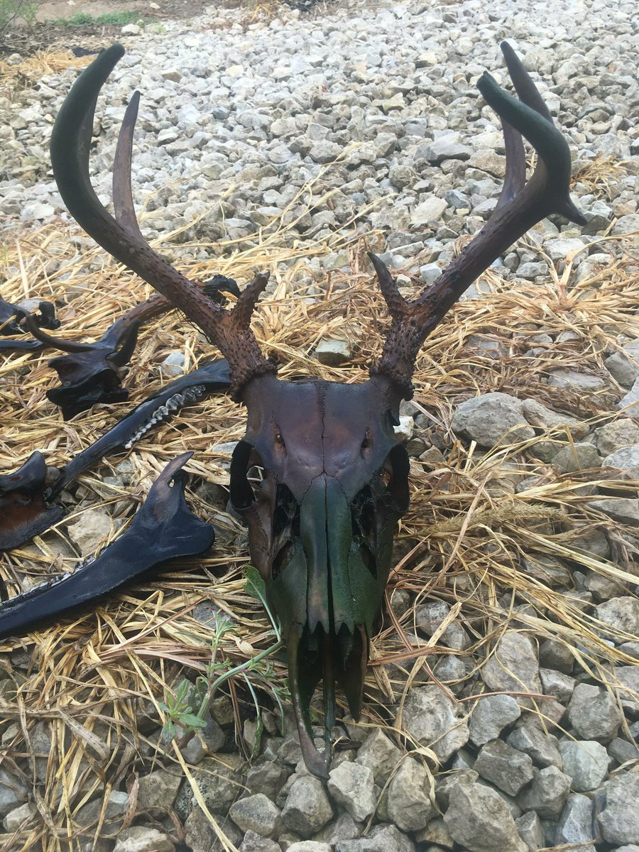 💀LUC👽I👽FER💀 tweet media