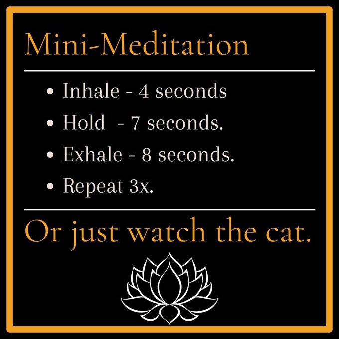 jacobdmundell's tweet photo. Lets Give Paws
Center yourself and breathe with purpose.
Mindfulness is the light that guides us through the darkness.
#CatTemple #SelfCare #CatMoments https://t.co/FuImncA01C