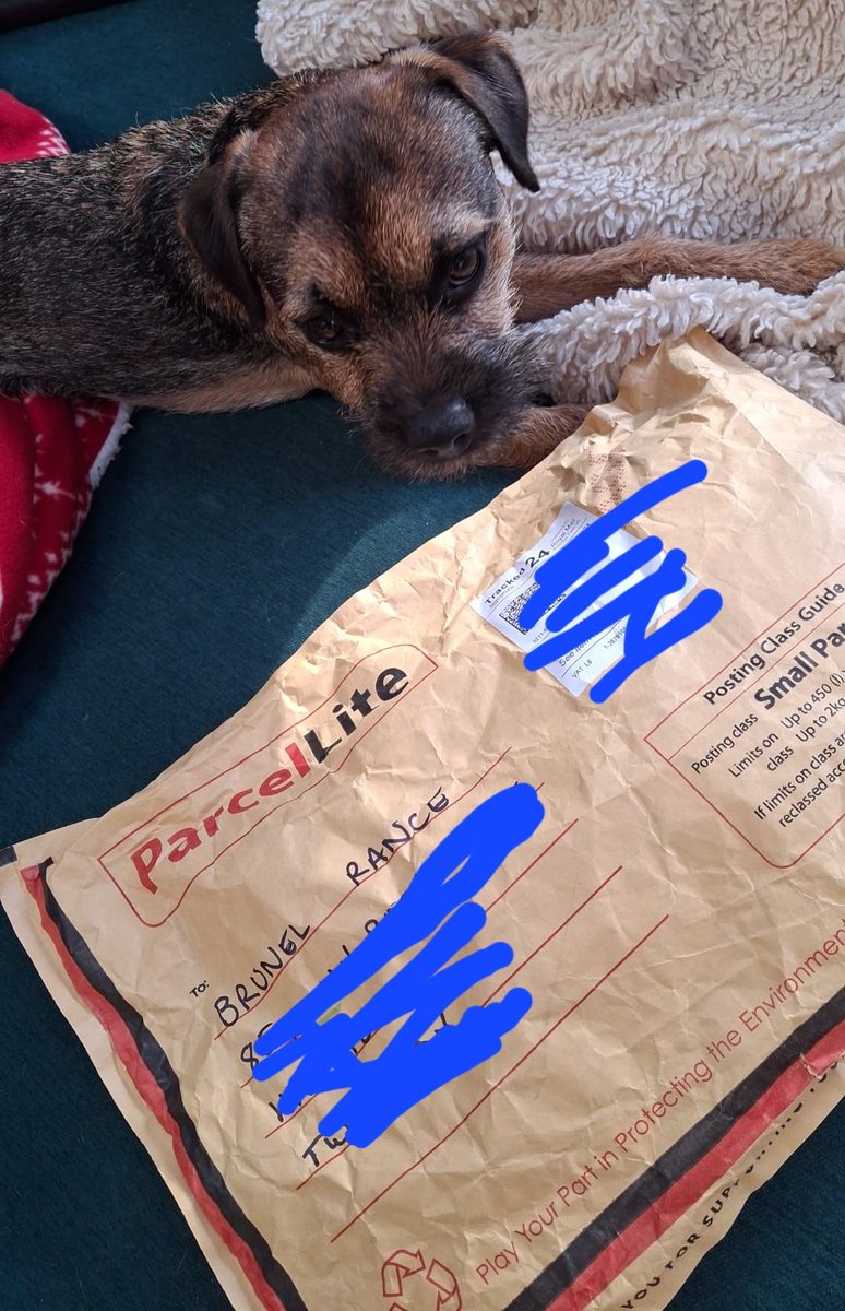 BrunelWatcher's tweet image. It is I, Brunel!

Looks like #santapaws has been a bit early. Thanks to my #btposse secret santa and for @hamish_hrh for organising. 

Pesky minions have now hidden it till the big day though!