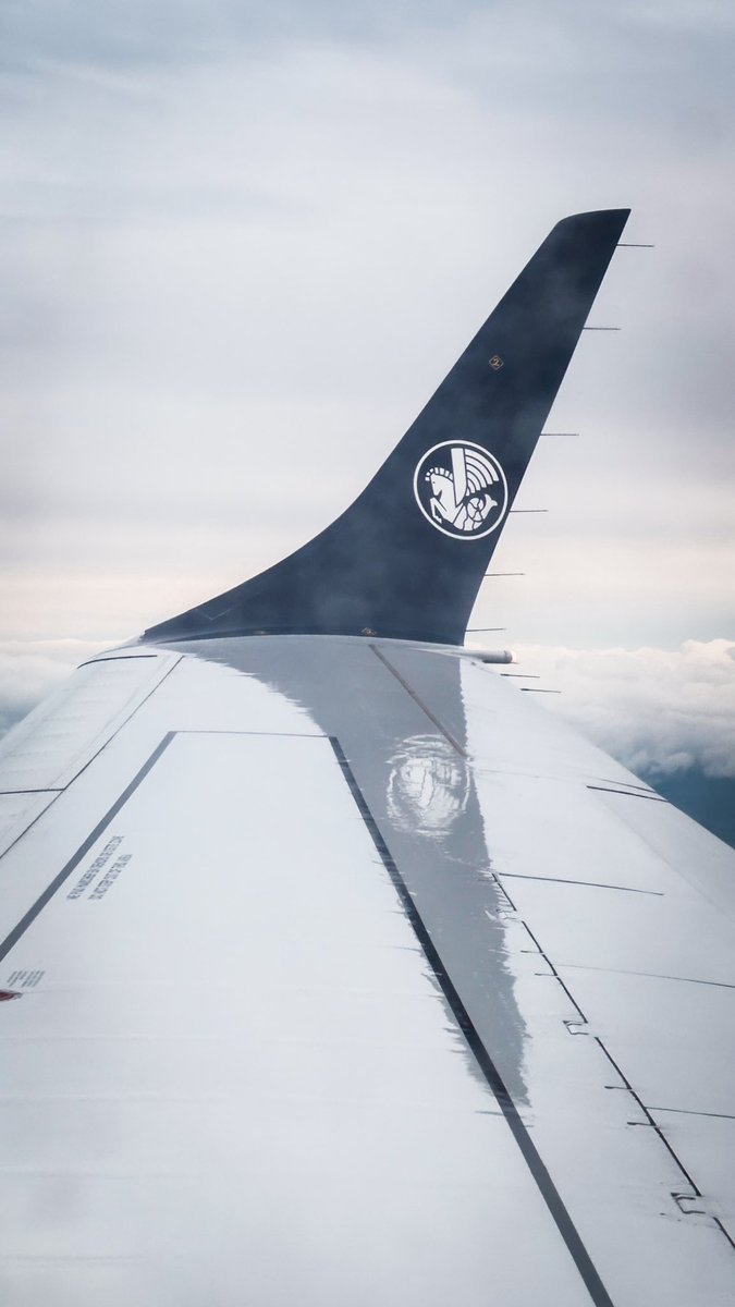 WeingaertnerM's tweet photo. Merci @AirFranceFR https://t.co/QgTAA0aWjc