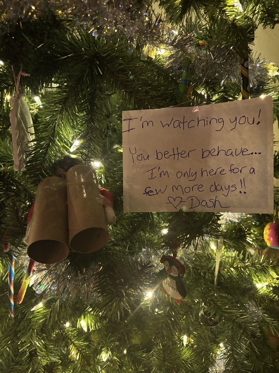 cutecolleen85's tweet image. Dash found a good hiding spot to watch the kiddos these last few days!!!! 😉😂

#adventureswithDash #elffun #Christmas2024