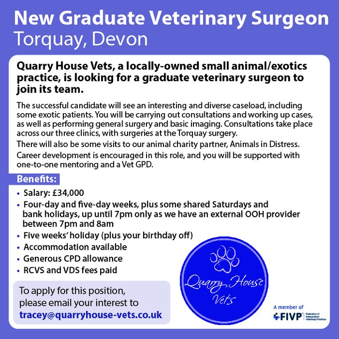 IVPCareers's tweet photo. Are you a new graduate deciding where to start your veterinary career?  Quarry House Vets in Devon will support you with one-on-one mentoring if you join its team.  See the job description: https://t.co/7cZrd1irGS………………… #independentpractice #veterinaryjobs https://t.co/UwaL9rz07F