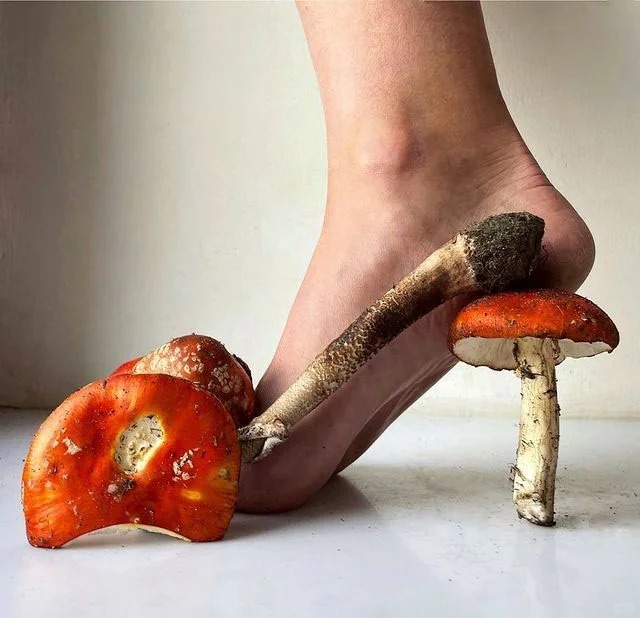 Think outside the box—everything can be a high heel.(P8)