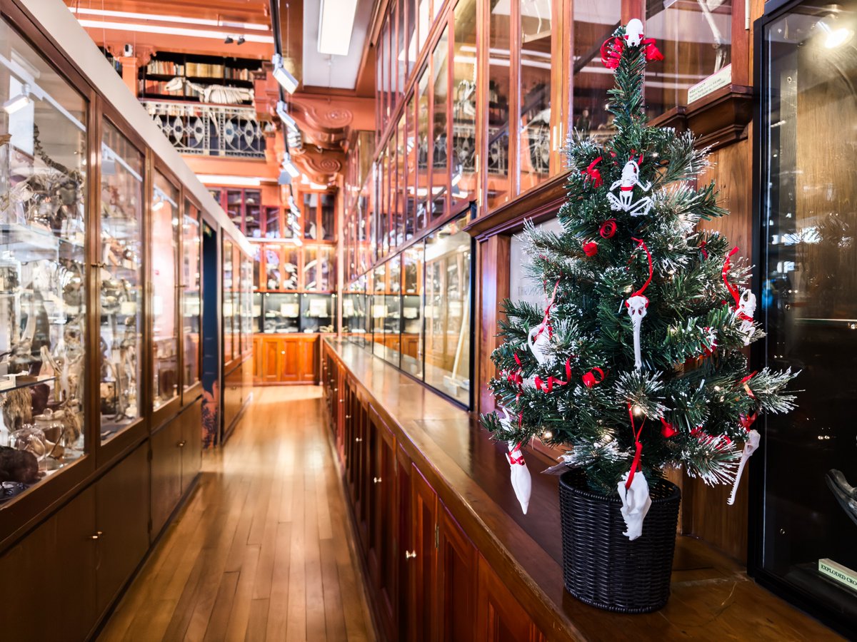 We would like to wish you all a wonderful Winter Break!

We will be closed from 21 December 2024 and reopen on 2 January 2025. Please note that our email and telephone will not be monitored during this period. ucl.ac.uk/museums-collec…