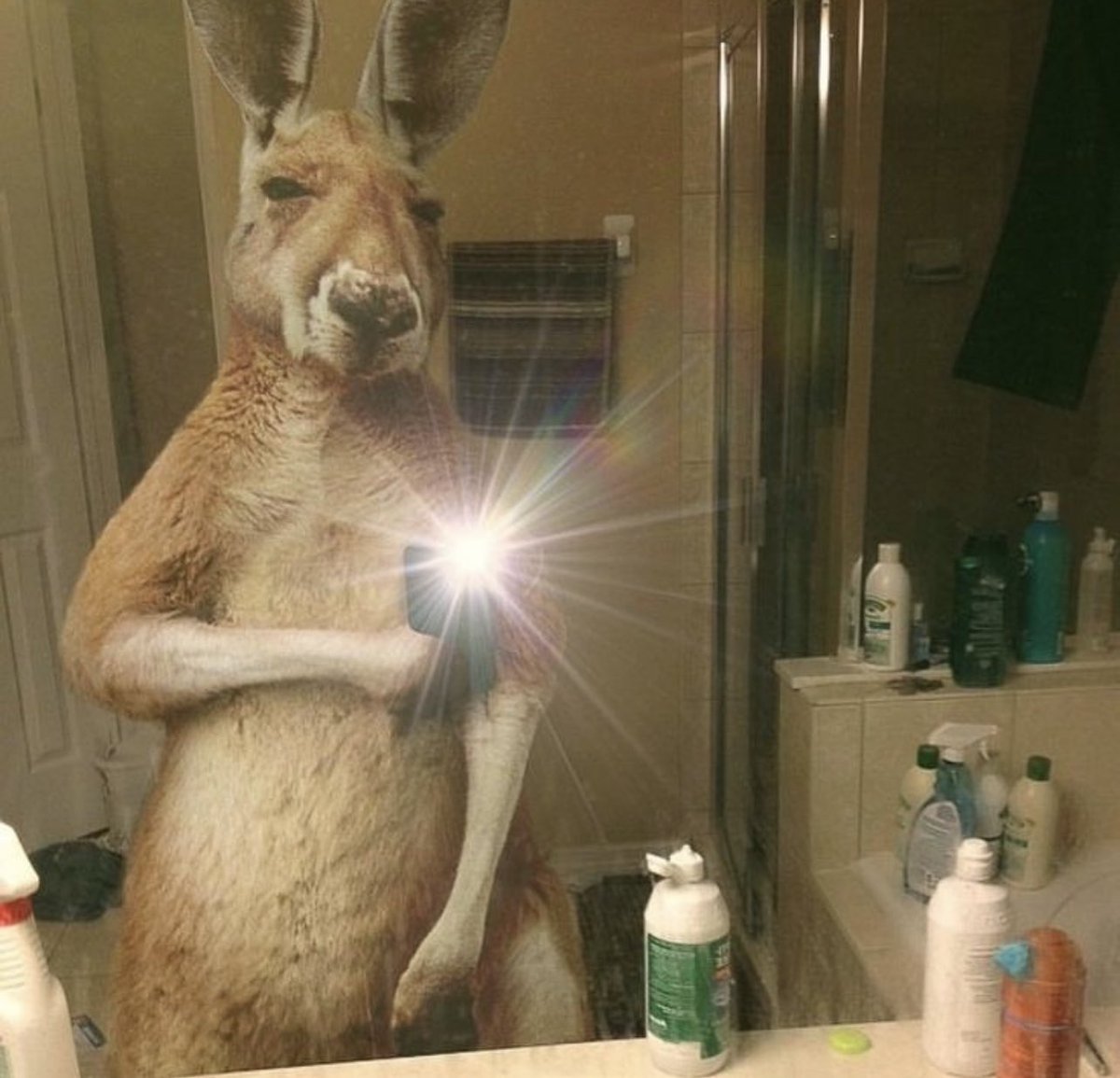 <a href="/100ksanscontrat/">100k</a>