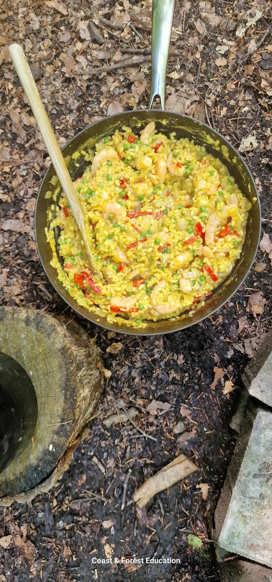 #ForestSchoolLeader Level 3 certified training equips educators to lead #forestschool, fostering resilience, confidence, &amp; connection to nature. Includes pedagogy, risk management, &amp; practical skills.  blending theory, hands-on practice, &amp; reflection. #Dorset
#hampshire