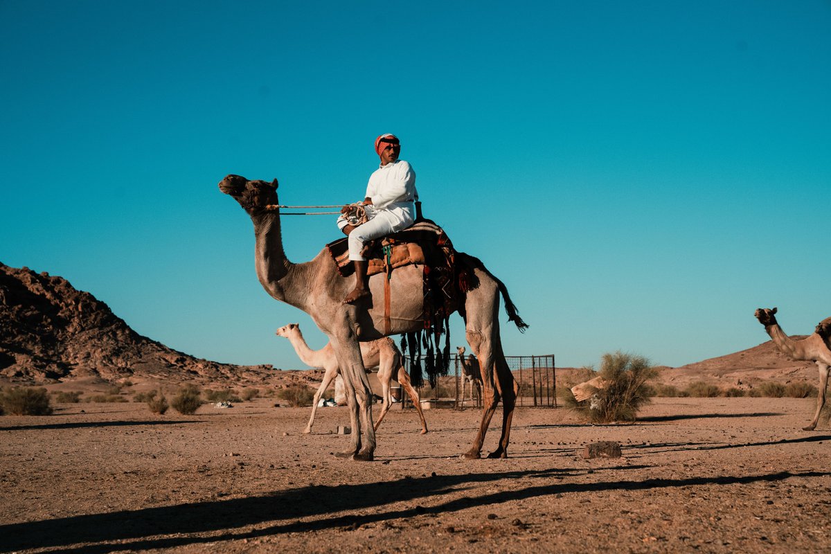 johnnywharris's tweet image. I camped in the Saudi Desert to explore this trillion dollar city they are attempting to build. In the process I met local bedouins who taught me a lot about this place. Here's my report: youtu.be/UGzI-ABpy6k?si…