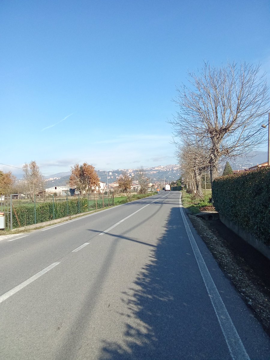 lucananni1010's tweet image. #BuongiornoATutti dopo 135 km tra la Ciociaria #Morolo e i monti Prenestini 🚴🚴🌳🌳
