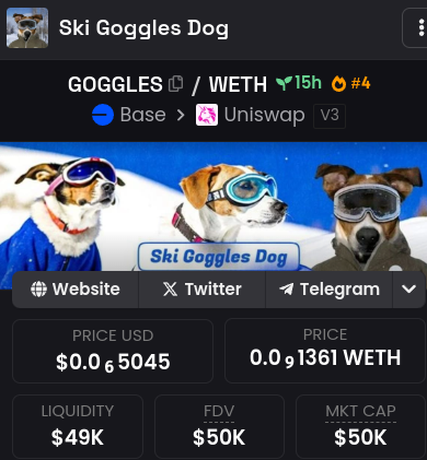 Ski Goggles DOG tweet media