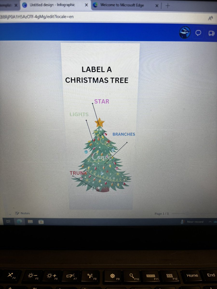 Roundhay Year 3 tweet media