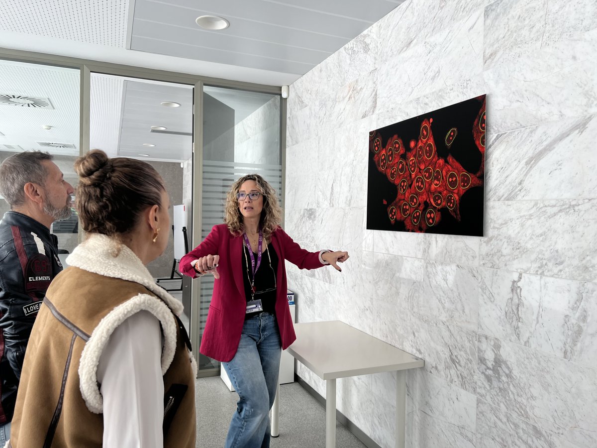 📸🎥Encantados de recibir en el <a href="/ITB_ULL/">Instituto de Tecnologías Biomédicas</a> al equipo de <a href="/MMujerOnline/">Más Mujer</a>, que ha realizado una sesión de fotos a <a href="/giraldezT/">Teresa Giraldez</a> para incluirla en un libro sobre mujeres con trayectorias destacadas cuya publicación se prevé en 2025. #Science #Ciencia <a href="/ULL/">Universidad de La Laguna</a>