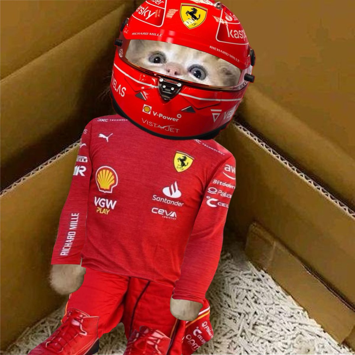 Ozzy_Cat_'s tweet photo. $OZZY takes the lead on the crypto racetrack! 🏎️🚀 First place is the only option. https://t.co/aYqzrDKM0x