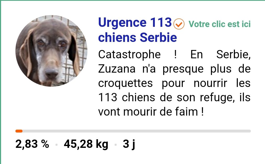 beta3093's tweet photo. 🆘🚨 #URGENT QUE 2%🆘
🆘🚨Reste q 2jrs+8h🆘🚨
🆘🚨On n'avance pas🆘

🆘🚨C'EST HORRIBLE OÙ ÊTES-VOUS ?

🆘🚨 #HELP #CLICKS 🆘

🆘🚨SVP #CLICS #GRATUITS EN MASSE🆘🚨

🆘🚨Toutes les 4-5h🆘🚨

🆘SOS 113chiens des rues de #Sebie de Zuzana ont besoin de nous,meurent de faim🙏 https://t.co/wk2CxY6Rl3