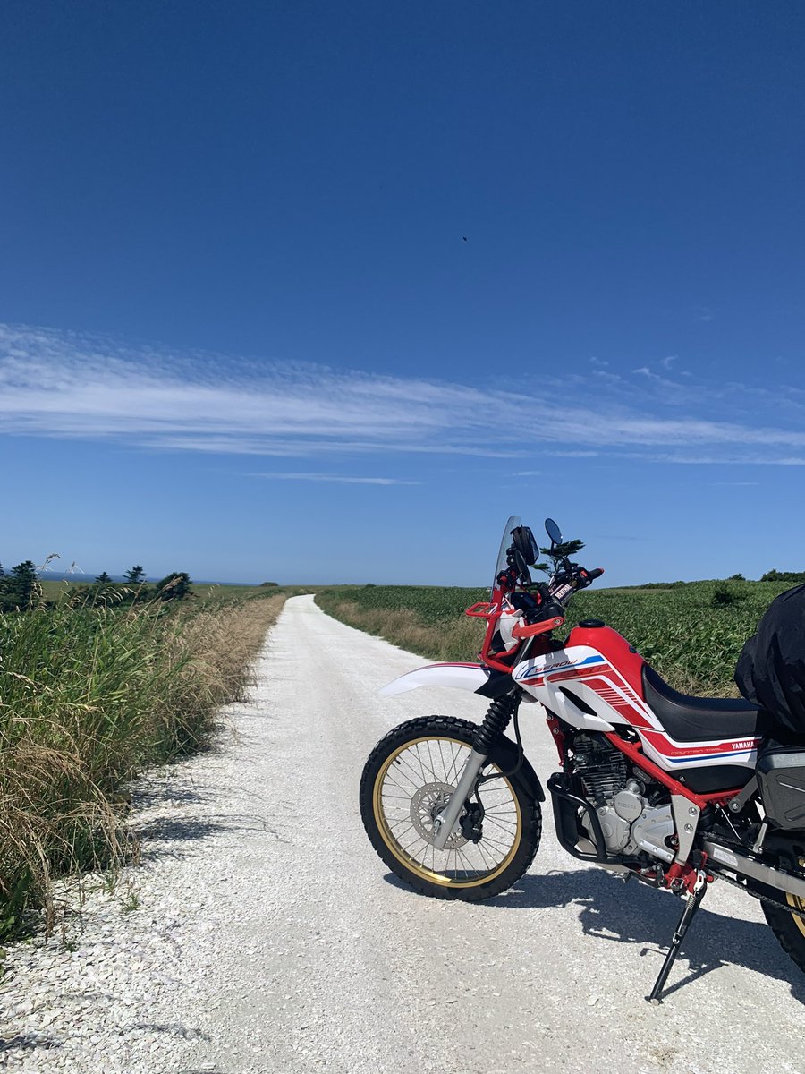 まっちゃん@BRM321近畿300km高松 tweet media