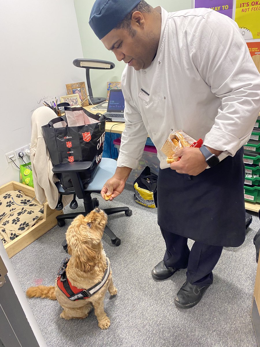 CCHS Building Resilience tweet media