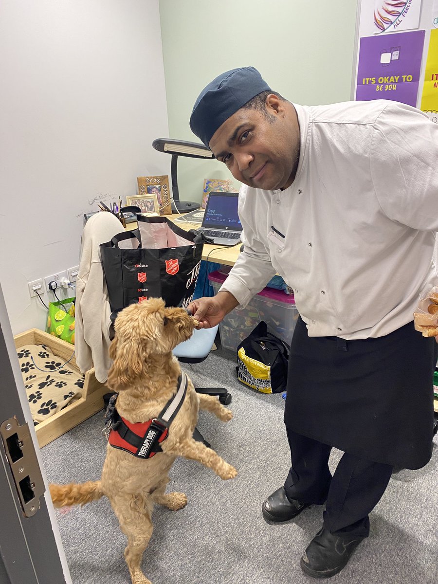 CCHS Building Resilience tweet media