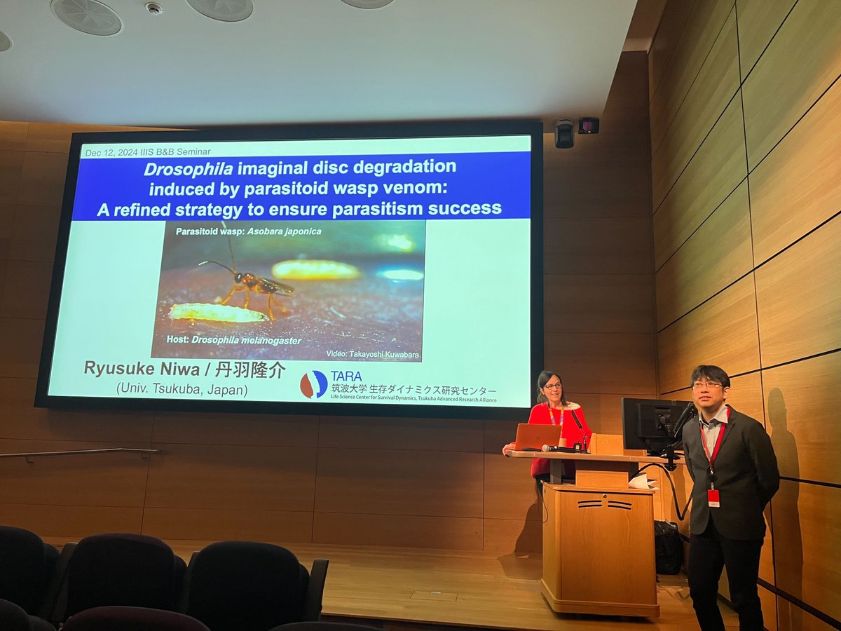 Ryusuke Niwa tweet media