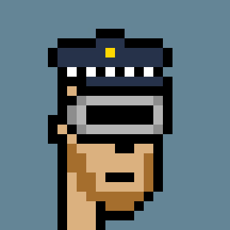 CryptoPunks are the Bitcoin of NFTs, they are the GRAIL, if you have one you will retire your bloodline. There is no second best.