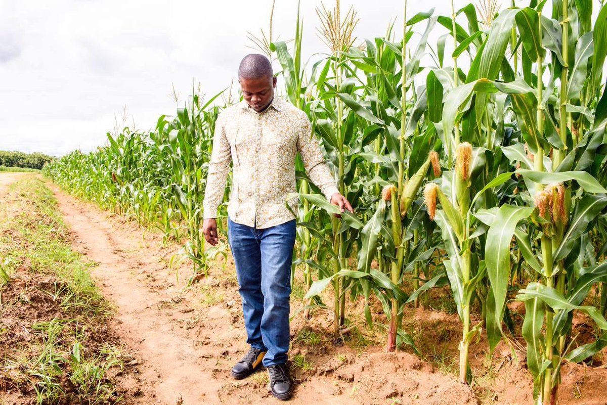 psbushiri_'s tweet photo. Why should men and women of God stay silent on global issues? Every time we comment on the economy, health, climate, inequalities, education, or even entertainment someone says, "Stick to the kingdom of God!" 

Enough is enough!

Men of God are called to lead in ALL areas of life. When the economy fails, families suffer. When education collapses, the future dims. When climate change strikes, communities are displaced. Are these not God’s concerns too?

Even scripture shows God’s servants involved in every field:

Abraham in agriculture and mining (Genesis 13:2)
Isaac running a mega farm (Genesis 26:12)
Job in transport with 6,000 camels (Job 42:12)
Apostle Paul in tent-making (Acts 18:3)

I, Major 1, will NOT be silenced!  I will comment, engage, and lead discussions on the pressing issues of our time because God’s wisdom isn’t confined to Sunday sermons—it applies to every corner of this world. So, if you think men of God should only talk about the "kingdom," remember this: The kingdom of God encompasses ALL of life. 

I refuse to be boxed in.