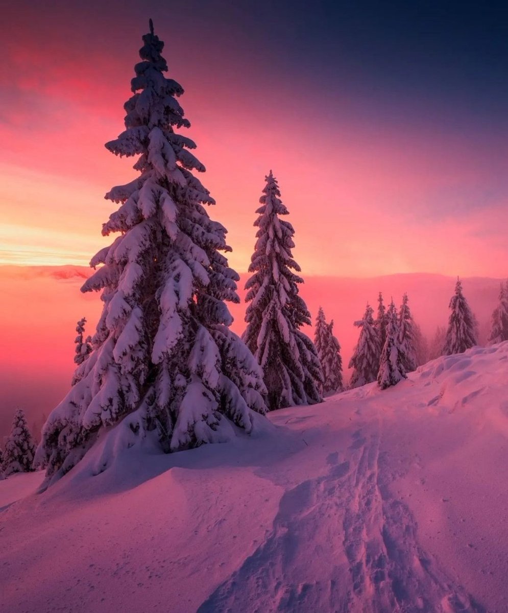 Miep51082958's tweet image. #WinterSunset  #WinterBeauty ❄️
