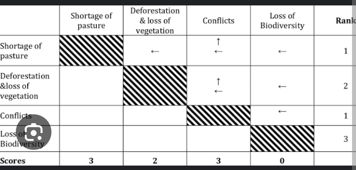 I get to interact with Pairwise matrix for the first time and it is amazing. The tool will help in ranking climate change hazards depending with how it affects my community.
#NDCYouthKe
#YouthClimateFinancing
<a href="/Environment_Ke/">Ministry of Environment, Climate Change & Forestry</a>
<a href="/EnviClimateC_Ke/">State Dept For Environment & Climate Change</a> 
<a href="/UNDPKenya/">UNDP Kenya</a> 
<a href="/UNICEFKenya/">UNICEF Kenya</a>