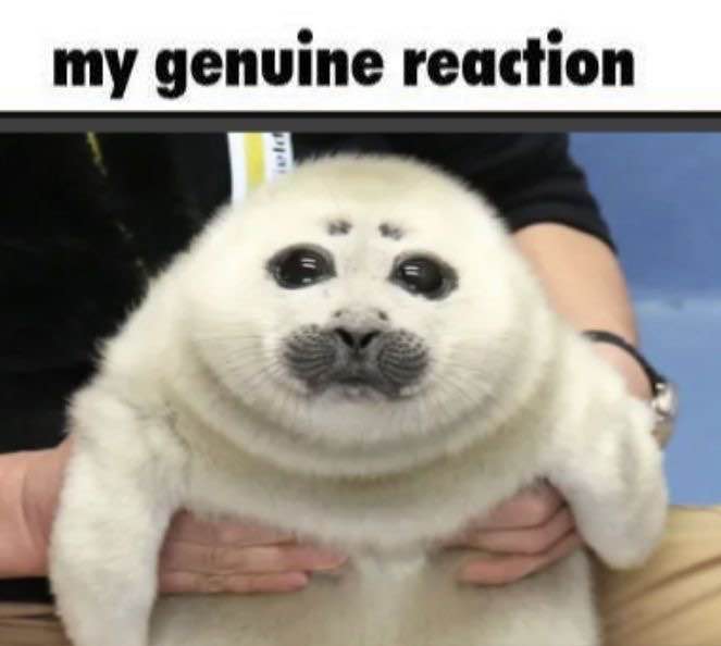 อาซาลาซฝากผมลง/วันนี้เป็นวันเกิดของผมนะครับผมดีใจกับวันเกิดผมมากนะครับผมขอกำลังใจเป็นการติดตามจากทักคนที่มาเห็นนะครับ