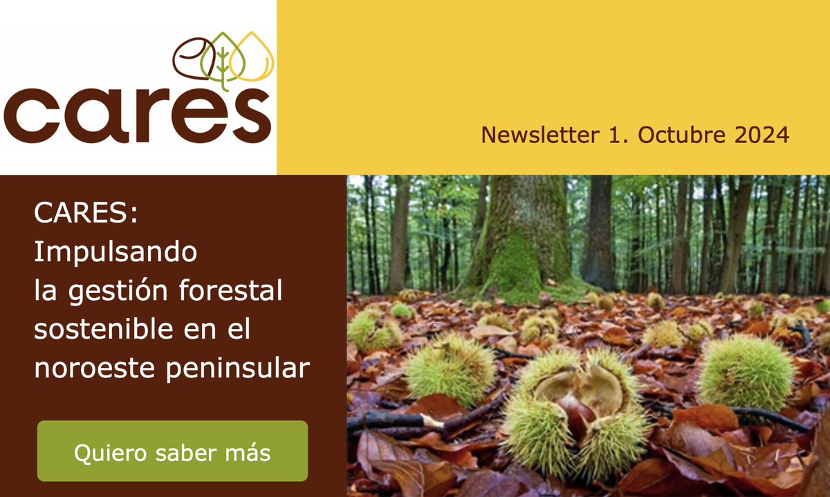 PEFC España (@pefcspain) on Twitter photo ¿Quieres conocer las novedades del <a href="/ProyectoCARES/">Proyecto CARES</a>? La labor de #PEFC es promover la #gfs y el aprovechamiento sostenible de #castaña #resina y #biomasa
Newsletter 1️⃣r.mailing.cesefor.com/mk/mr/sh/7nVTP…
¡Suscríbete! 838fa1a3.sibforms.com/serve/MUIFADpH…
#ProyectosPRTR #PlanDeRecuperación <a href="/FBiodiversidad/">Fundación Biodiversidad</a> ¿Quieres conocer las novedades del <a href="/ProyectoCARES/">Proyecto CARES</a>? La labor de #PEFC es promover la #gfs y el aprovechamiento sostenible de #castaña #resina y #biomasa
Newsletter 1️⃣r.mailing.cesefor.com/mk/mr/sh/7nVTP…
¡Suscríbete! 838fa1a3.sibforms.com/serve/MUIFADpH…
#ProyectosPRTR #PlanDeRecuperación <a href="/FBiodiversidad/">Fundación Biodiversidad</a>