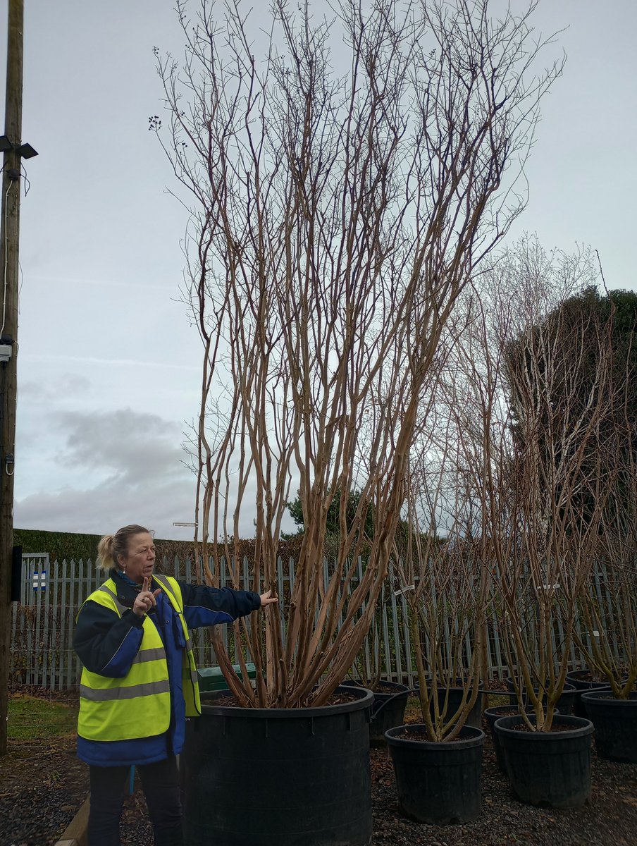 Capel Manor College tweet media