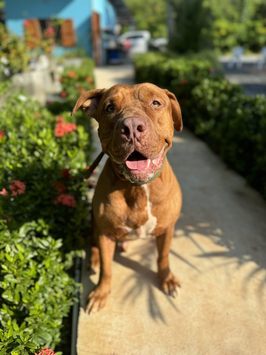 Niall Harbison tweet media