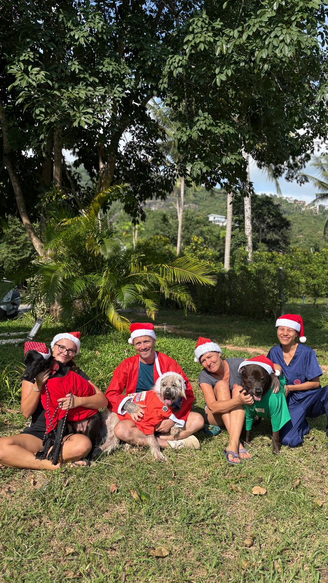 Niall Harbison tweet media