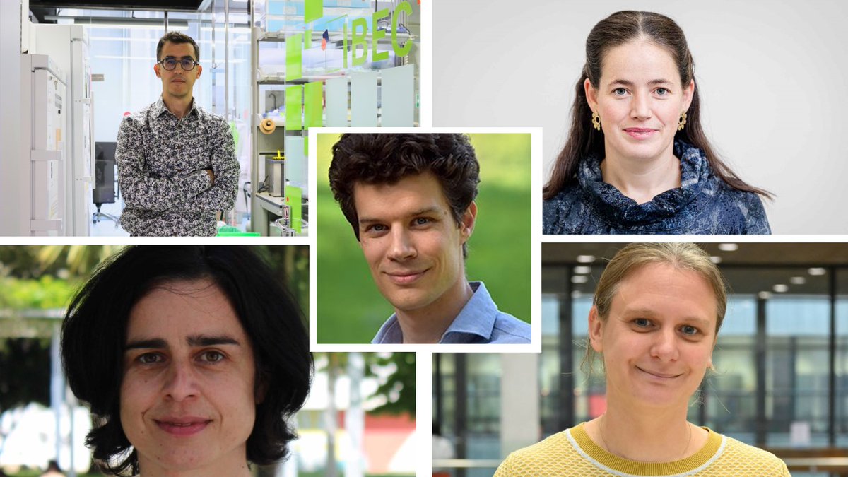 SynCellEU's tweet image. New post!

Take a look at the projects from @CREmmeneggerLab , @SpruijtLab , @WegnerLab , @LaanLiedewij  &amp;amp; @Otero_Muras that have been awarded an #ERC Consolidator grant this year.

#syncell #syntheticcell #Research 

syntheticcell.eu/erc-consolidat…