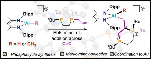 Marcus Drover (@marcuswdrover) on Twitter photo 🎄🎁 It’s beginning to look a lot like… Aluminum! - now out in <a href="/Orgmet_ACS/">Organometallics</a>. Wonderful work by <a href="/gabe_jobin/">Gabe Jobin</a> who spearheaded this project! 💪⭐️
1,4-Diphosphorinane Synthesis at a Cationic Aluminum(III) Center
pubs.acs.org/doi/10.1021/ac…
<a href="/WesternU/">Western University</a> <a href="/westernuchem/">Chemistry at Western</a> @VPRWesternU 🎄🎁 It’s beginning to look a lot like… Aluminum! - now out in <a href="/Orgmet_ACS/">Organometallics</a>. Wonderful work by <a href="/gabe_jobin/">Gabe Jobin</a> who spearheaded this project! 💪⭐️
1,4-Diphosphorinane Synthesis at a Cationic Aluminum(III) Center
pubs.acs.org/doi/10.1021/ac…
<a href="/WesternU/">Western University</a> <a href="/westernuchem/">Chemistry at Western</a> @VPRWesternU