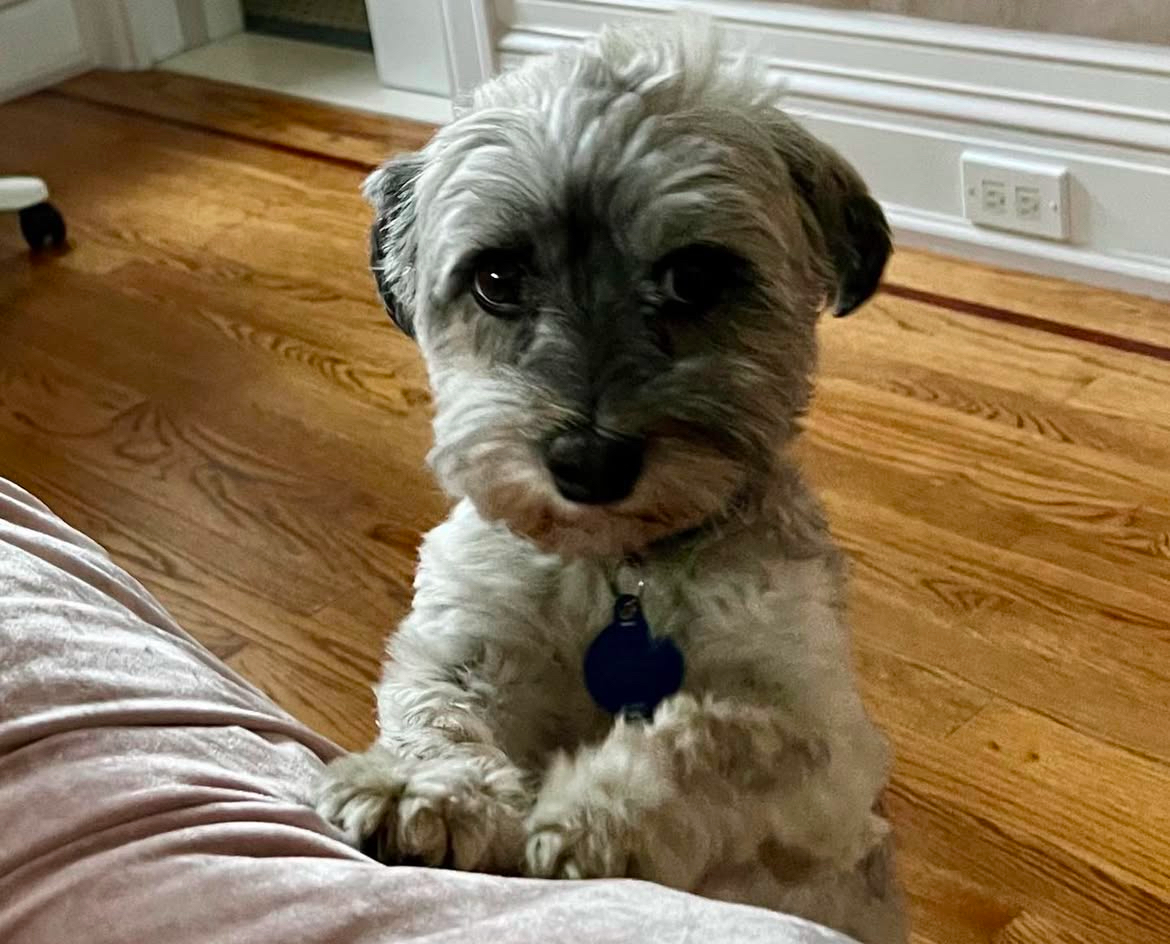 Harlan Coben tweet media