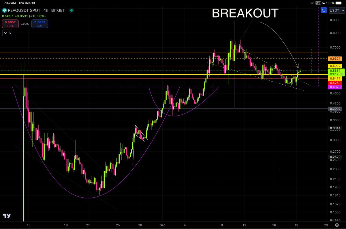 Alexander Legolas tweet media