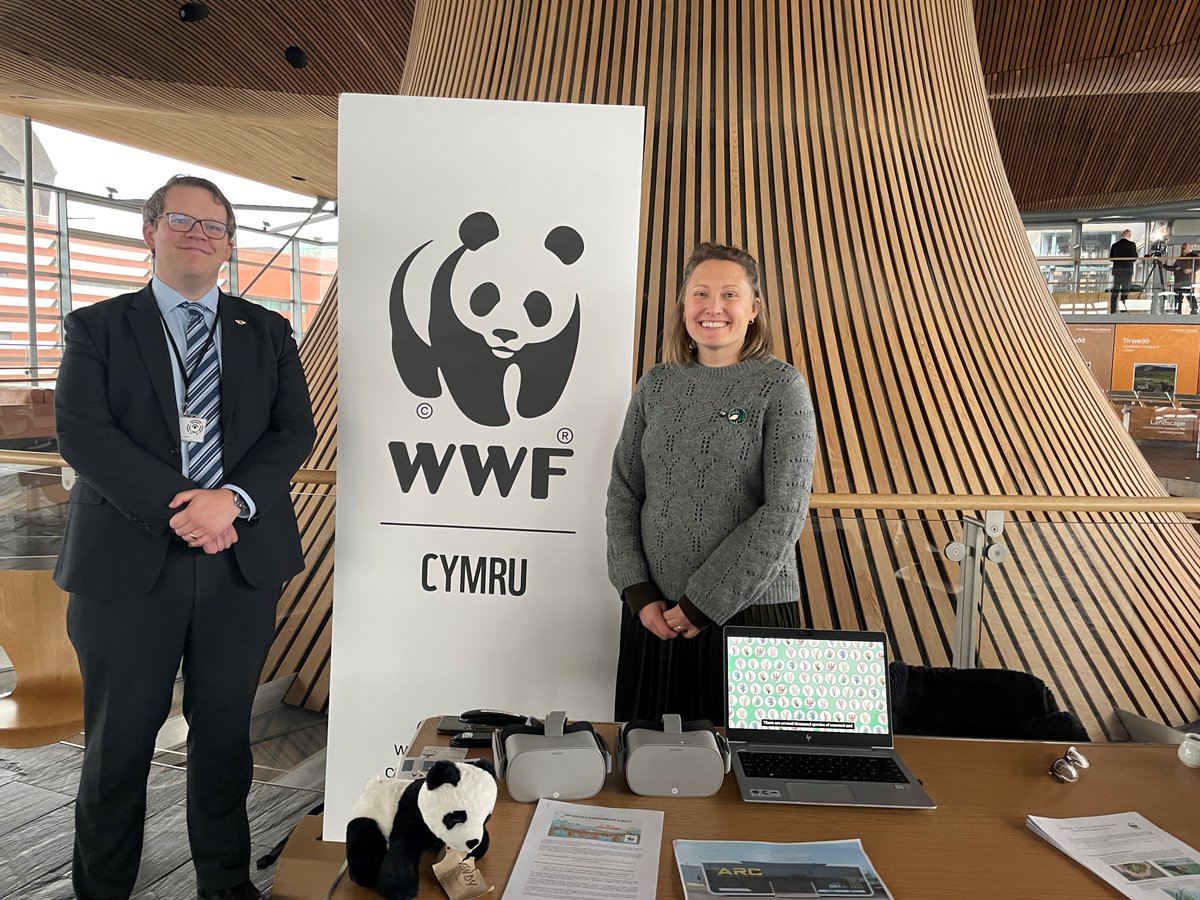 WWF Cymru 🌏 (@wwfcymru) on Twitter photo Diolch <a href="/JoelJamesSWC/">Joel James MS</a> for sponsoring our stand in the Senedd marketplace, where we promoted our marine work and asks to Welsh Government:
-to Grow the regenerative seaweed industry
-to roll out the National Seagrass Action Plan
Our work on Welsh seas: wwf.org.uk/wales/seas-of-… Diolch <a href="/JoelJamesSWC/">Joel James MS</a> for sponsoring our stand in the Senedd marketplace, where we promoted our marine work and asks to Welsh Government:
-to Grow the regenerative seaweed industry
-to roll out the National Seagrass Action Plan
Our work on Welsh seas: wwf.org.uk/wales/seas-of-…