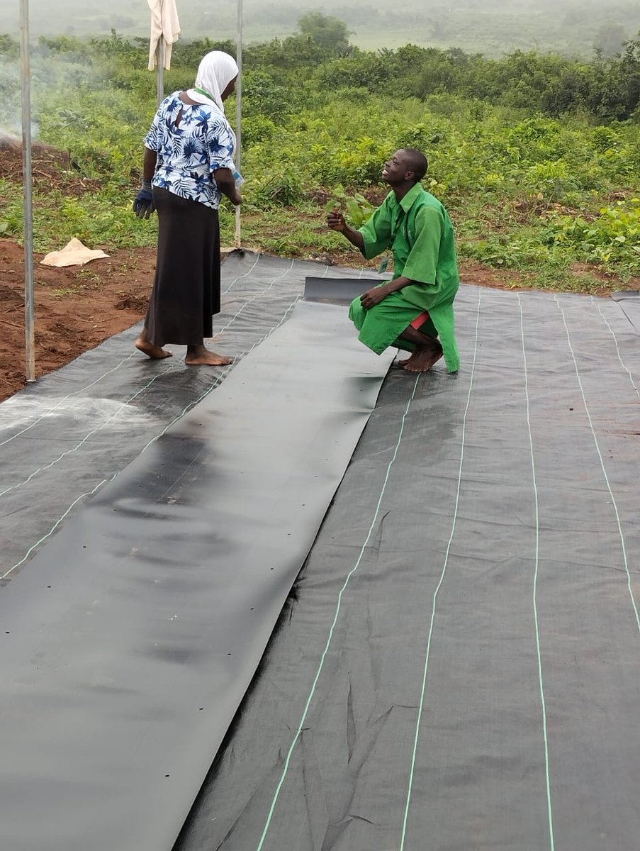 Throwback Thursday 📸:
Even Lori Farm <a href="/sFarmLab/">Soilless Farm Lab</a> Gan, Layisi Ifé 😩Kosi Ololufé 🌱🌾. Ifé Ni Awa Partners Fi Ba Ra Wa Lo, Ni Ounjé Fi De Table Yin.
#SevenDoorsOnNetflix 
#2025BudgetPresentation
#FoodSecurityIsNonNegotiable
#Eyiaofficial
#Eyiaunique