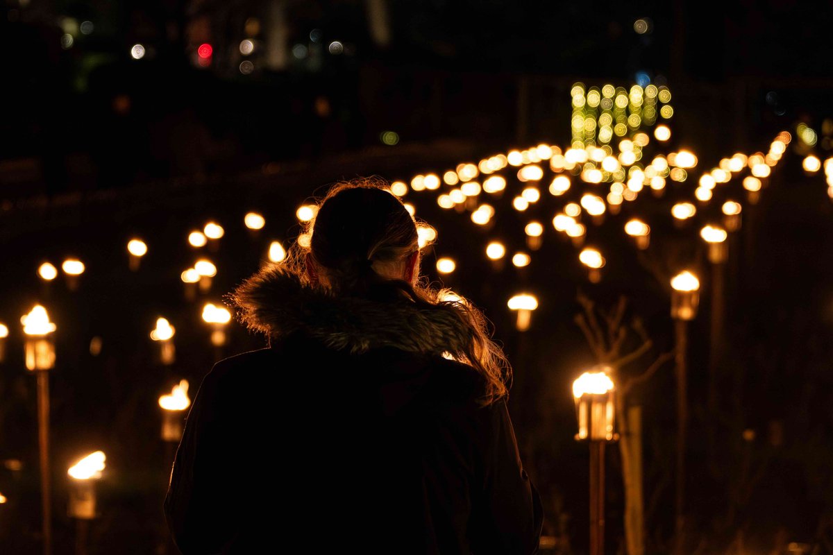 🔥Our final event for 2024 opened last night in #Scarborough. Our spectacular fire garden is the finale to Scarborough Lights Festival which runs until 22 December. #gosee 
📷 Wandering Photography