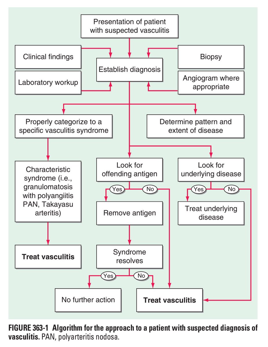 Algorithm for the approach to a patient with suspected diagnosis of vasculitis:

#MedEd #MedX #MedTwitter #RheumTwitter #rheumatology 

<a href="/IhabFathiSulima/">Dr Ihab Suliman</a> <a href="/DrAkhilX/">Dr. Akhil 🇮🇳</a> <a href="/MRCEMPREP/">Daily Dose of Medicine</a> <a href="/drsthanus/">Dr sthanu subramanian</a>