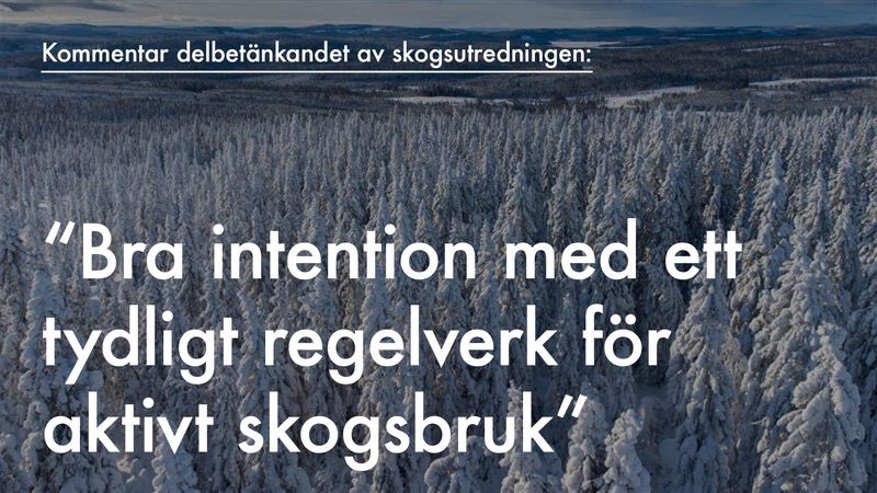 Skogsindustrierna (@skogsindustrin) on Twitter photo Läs vår kommentar på delbetänkandet som överlämnades idag <a href="/LI_depSE/">Landsbygds- och infrastrukturdepartementet</a> #skog #svpol
➡️ skogsindustrierna.se/aktuellt/nyhet… Läs vår kommentar på delbetänkandet som överlämnades idag <a href="/LI_depSE/">Landsbygds- och infrastrukturdepartementet</a> #skog #svpol
➡️ skogsindustrierna.se/aktuellt/nyhet…