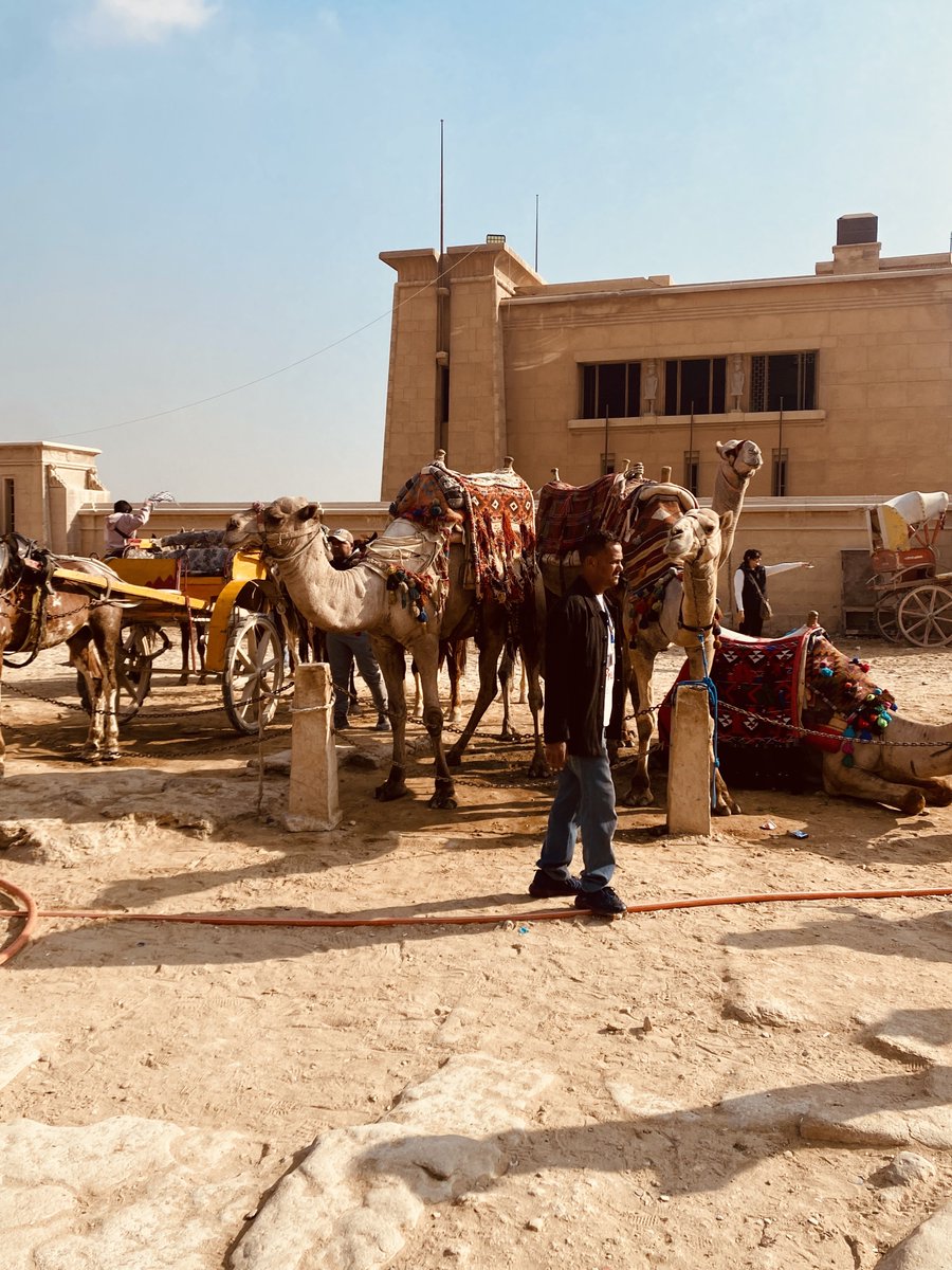 twocakeS tweet media