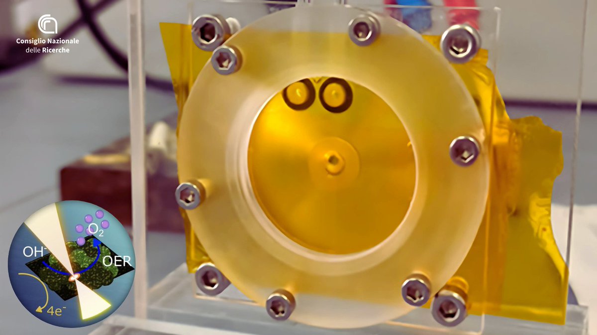 CNR Consiglio Nazionale delle Ricerche (@cnrsocial_) on Twitter photo #IdrogenoVerde: dalla ricerca di <a href="/IC_CNR/">Institute of Crystallography</a> <a href="/CNRICCOM_Social/">CNR-ICCOM</a> <a href="/IsmnCnr/">ISMN CNR</a>, il catalizzatore dal cuore di grafene più efficiente e durevole
Si chiama #Nigraf, è a basso costo e ad alta efficienza per la produzione elettrolitica di idrogeno dall’acqua
👉cnr.it/it/comunicato-…
<a href="/MC_Carro/">MariaChiara Carrozza</a> #IdrogenoVerde: dalla ricerca di <a href="/IC_CNR/">Institute of Crystallography</a> <a href="/CNRICCOM_Social/">CNR-ICCOM</a> <a href="/IsmnCnr/">ISMN CNR</a>, il catalizzatore dal cuore di grafene più efficiente e durevole
Si chiama #Nigraf, è a basso costo e ad alta efficienza per la produzione elettrolitica di idrogeno dall’acqua
👉cnr.it/it/comunicato-…
<a href="/MC_Carro/">MariaChiara Carrozza</a>