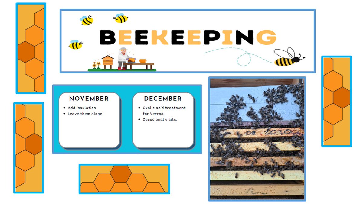 Williamwood HS tweet media