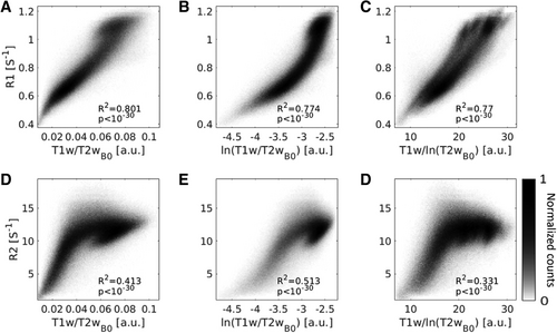 AvivMezer tweet media