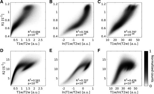 AvivMezer tweet media